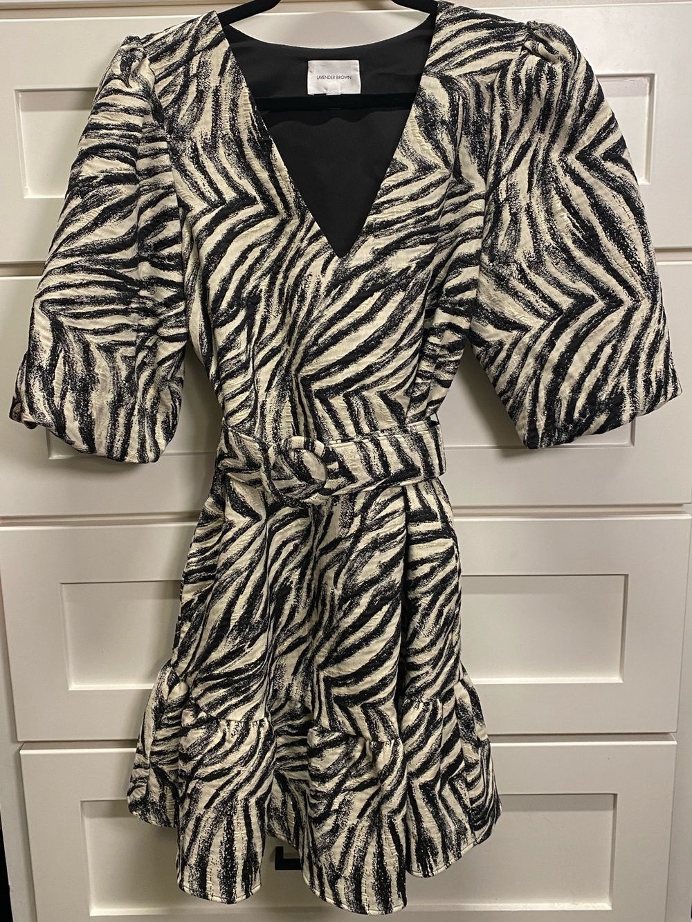 Zebra Print V-Neck Dress with Belt